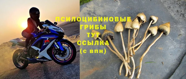 а пвп мука Абаза