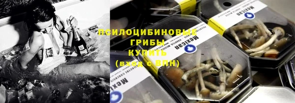 а пвп мука Абаза