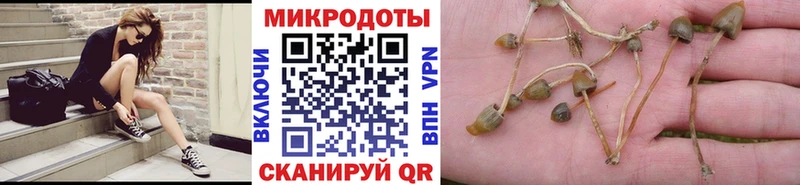 Галлюциногенные грибы мухоморы  MEGA ссылка  Советск 